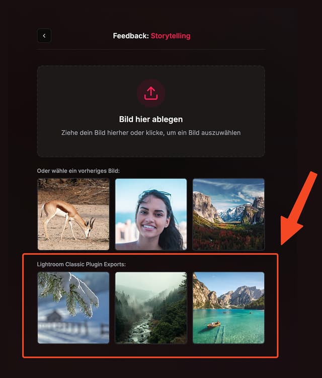 Video Vorschau Bildkritiker